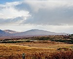 Whisky escocés de Islay